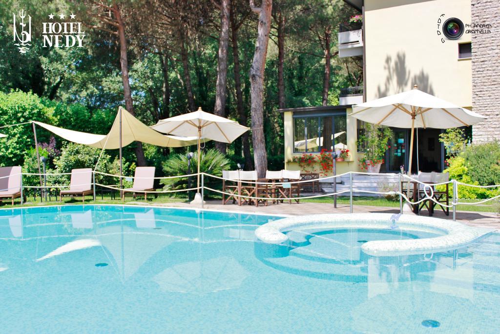 Hotel Nedy