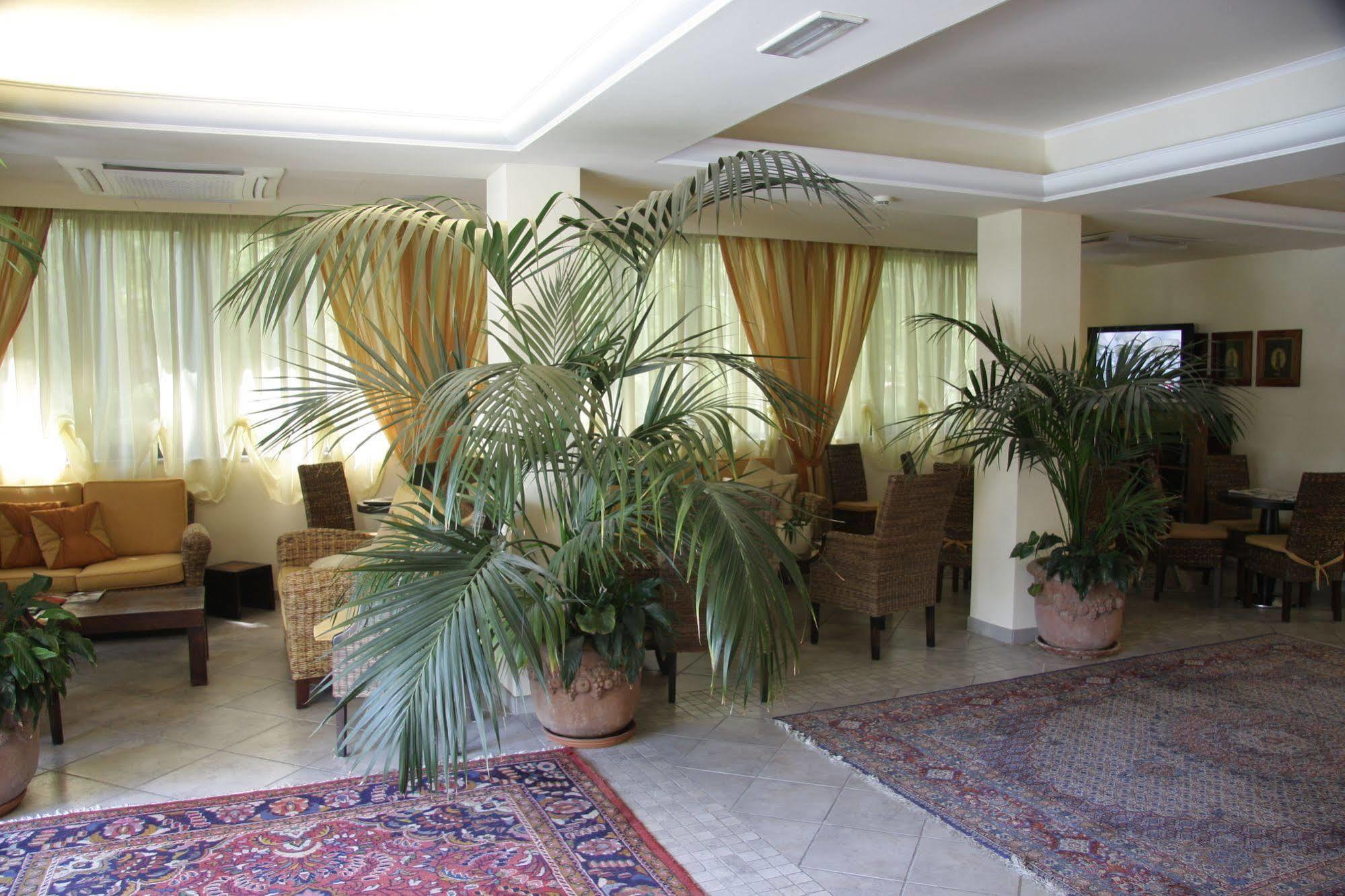 Nedy Hotel 3*