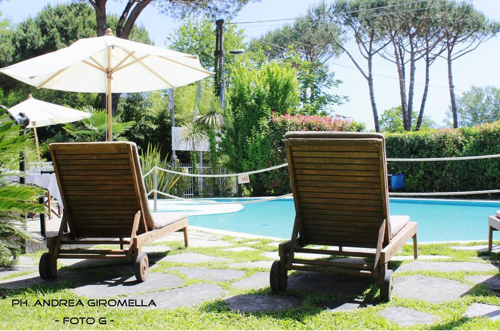 Hotel Nedy Marina di Massa