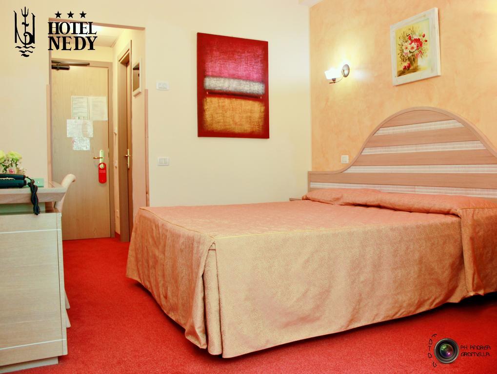 Hotel Nedy 3*